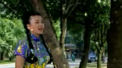 张也 - 桂花海
