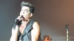 Adam Lambert - Cuckoo(Fantasy Springs)饭拍版