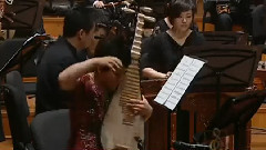 华语群星 - 琴瑟破