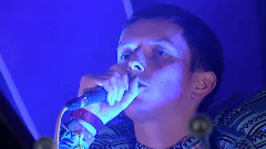 Totally Enormous Extinct Dinosaurs - Your Love