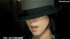 张力尹 - Why Show