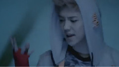 EXO,EXO-M - 狼与美女(Wolf) 中文版