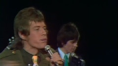 Rolling Stones - Paint It Black