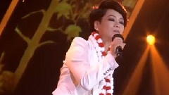 毛阿敏 - 渴望