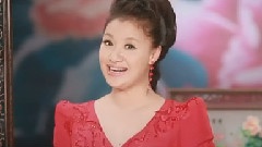 王丽达 - 湘妹子