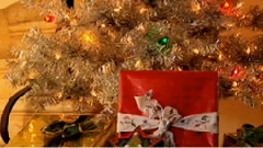 Andre Rieu,音乐短片 - Silent Night,Holy Night