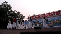 模仿翻唱 - 落花情