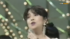 岩崎宏美 - 家路