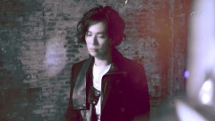 杨培安 - 恋人无双