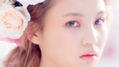 李夏怡 - Rose