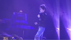 梅艳芳 - 芳华绝代 饭制版