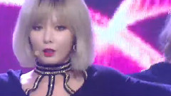 Trouble Maker - 没有明天