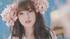 Iiris - Tigerhead