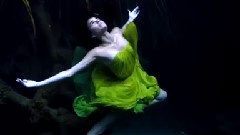Schiller - Die Liebe