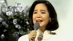 邓丽君 - 時の流れに身をまかせ