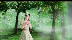 谭晶 - 梨乡情