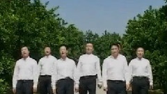 华语群星 - 一个忠字立天下