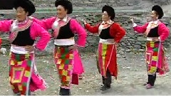 民乐群星 - 斯丁 者尔 尼莫