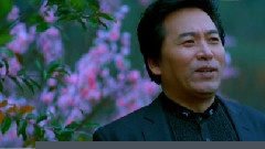 春暖桃花源