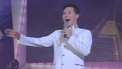 王宏伟 - 国风