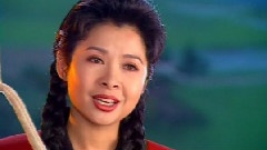 董文华 - 十五的月亮