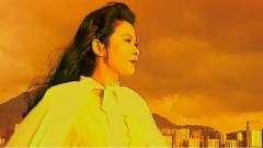 董文华 - 归航