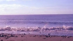 谢霆锋 - 大海