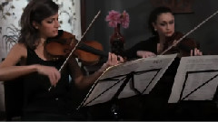 模仿翻唱 - Fields of Gold