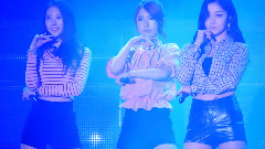 Nine Muses - Wild