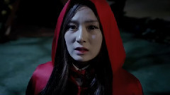 TINT - 狼们不知道