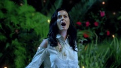 Katy Perry - Roar