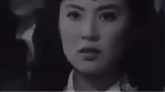 驱除虎狼保家邦 电影<海外赤子>插曲