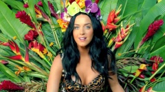 Katy Perry - Roar