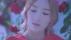 Super Junior,少女时代 - Love Ballad