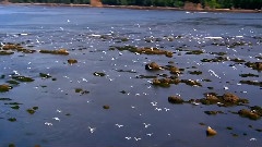 孟庭苇,音乐短片 - 一个爱上浪漫的人