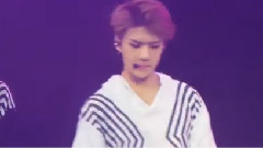 EXO - 安可前TALK & TAO&灿烈看镜头嘟嘴巴