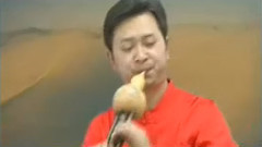 雪莲花开 葫芦丝演奏