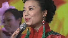 张也 - 田野太阳