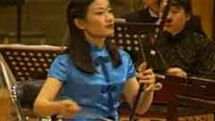严洁敏 - 迷糊调二胡独奏音乐会版