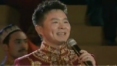 王宏伟 - 雪莲新疆
