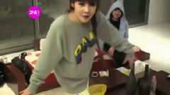 2NE1 - YG LOVE