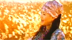 雷佳 - 芦花