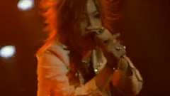 the GazettE - Tour 2006-2007 Decomposition Beauty Final Meaningless Art That People Showed At Yokohama Arena