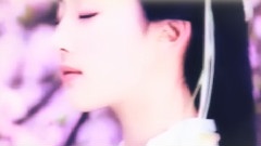 胡歌 - 虫儿飞