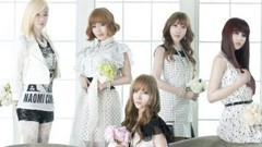 Lotte Girls - 泪痕