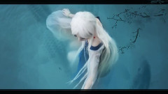 原创 - 蒹葭