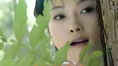 满文军 - 一路风雨走过来