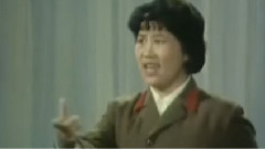 华语群星 - 念奴娇.鸟儿问答