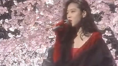 中森明菜 - 難破船