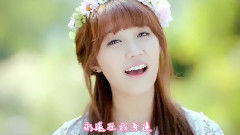 A Pink - Secret Garden